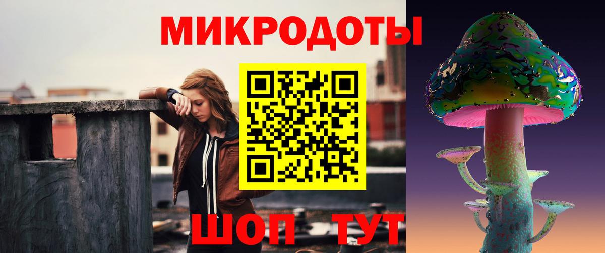 Псилоцибиновые грибы Psilocybe  Вход с VPN  Междуреченск 